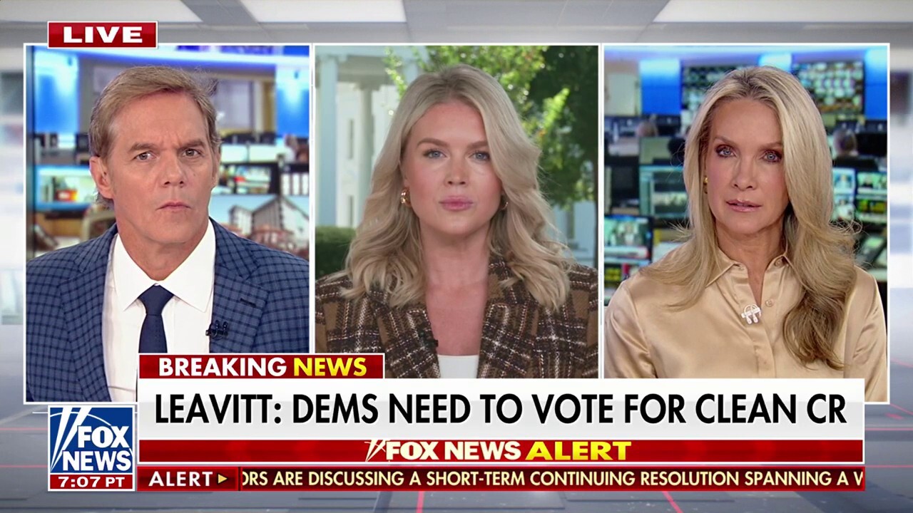 Karoline Leavitt accuses Dems of 'lying' about funding for illegal immigrant healthcare: 'Unacceptable'