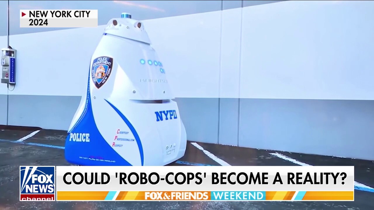 Cyber expert says 'Robo-Cops' are a reality that 'could' happen