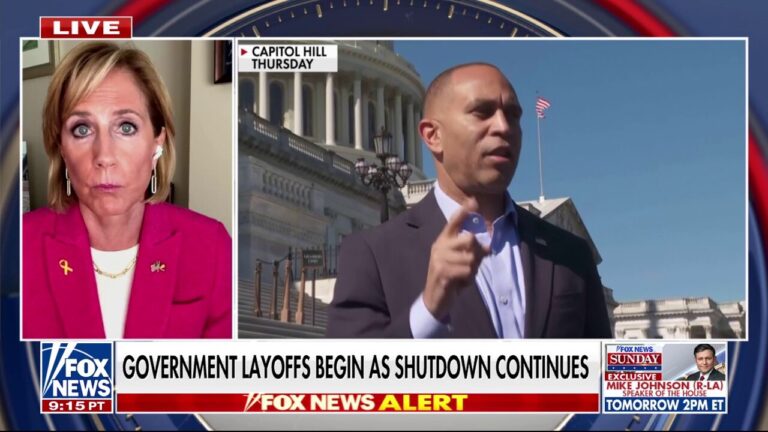 Republican lawmaker warns Democrats are ‘afraid of the far-Left’ amid government shutdown