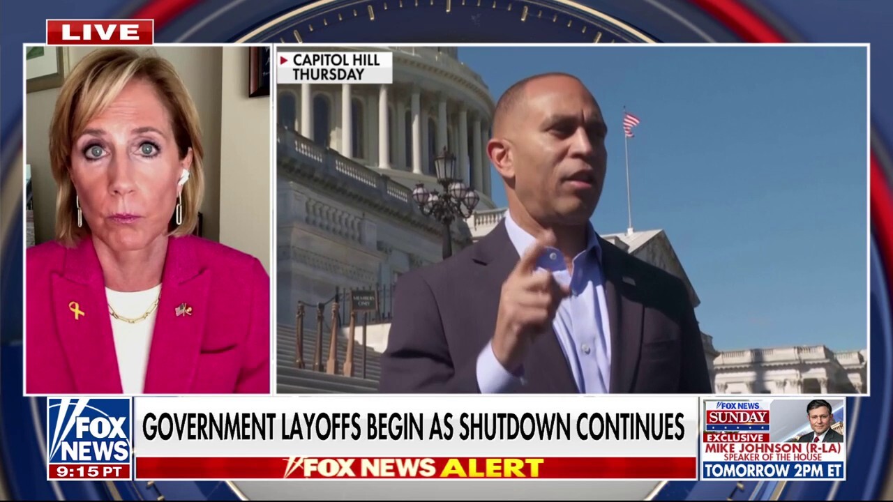 Republican lawmaker warns Democrats are ‘afraid of the far-Left’ amid government shutdown