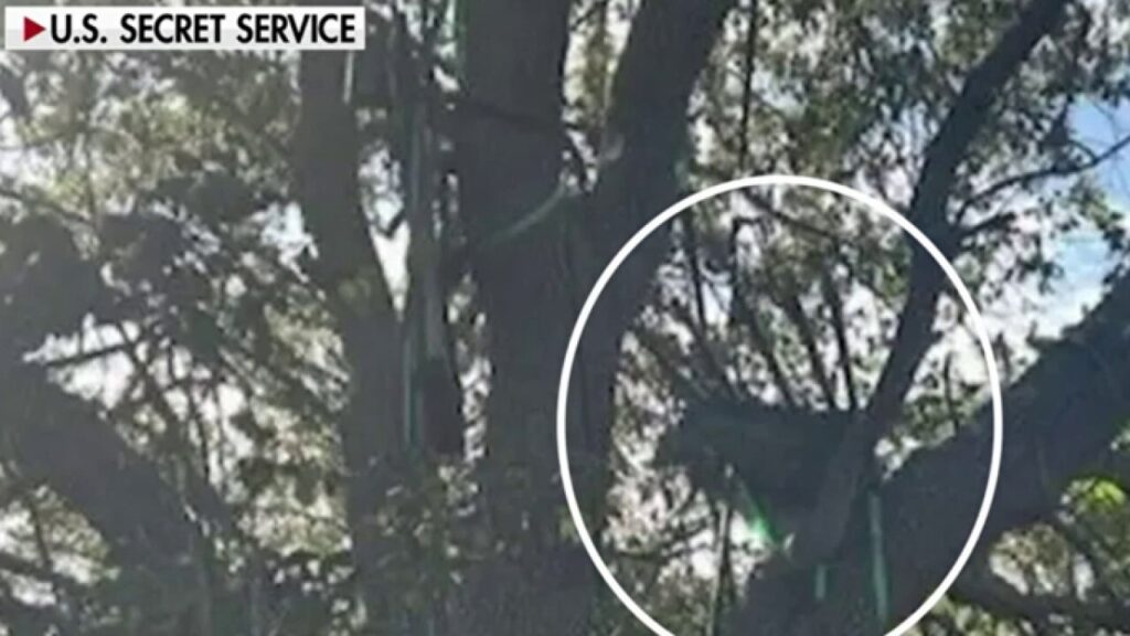 FBI probes hunting stand with sight line to Trump Air Force One
