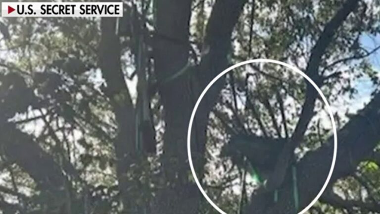 FBI probes hunting stand with sight line to Trump Air Force One