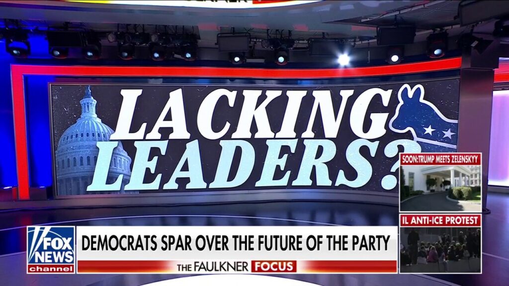 Americans stumped when asked who is leading the Democratic Party: 'That's a hard one'
