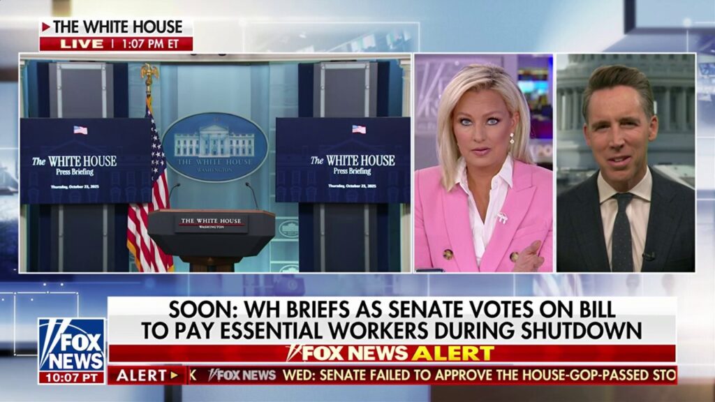 Sen Hawley slams Democrats' 'absurd' shutdown ‘temper tantrum’