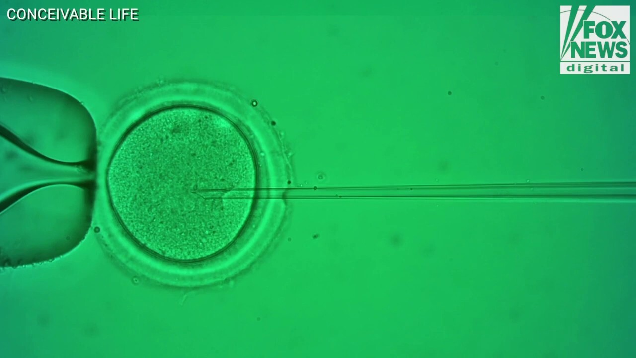 AI could increase fertility chances with high-tech IVF, expert reveals