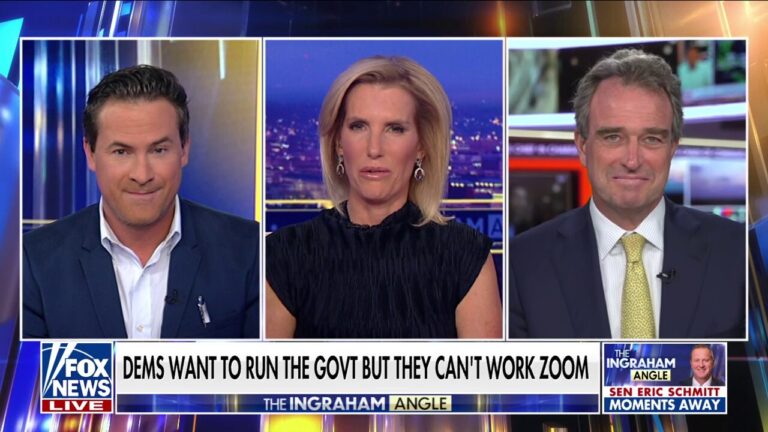 Shutting the government down 'defeats the whole purpose' of the Democratic Party: Charlie Hurt