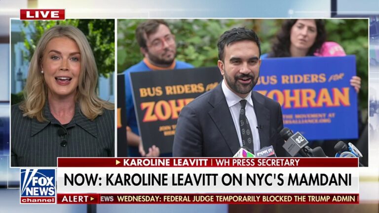 Leavitt addresses Trump's call with Putin and Zohran Mamdani''s Fox News interview