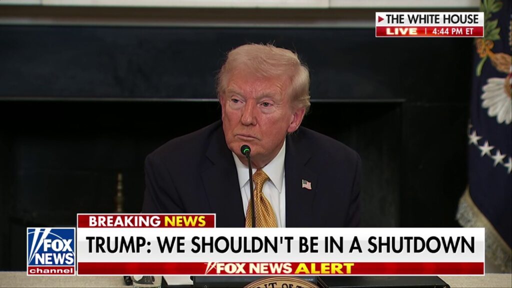 Trump on government shutdown: Democrats have gone 'totally crazy'