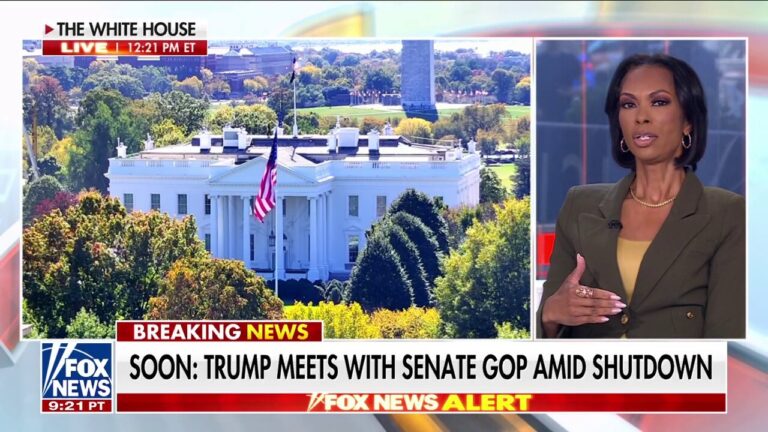 Democrats are fighting themselves: Harris Faulkner
