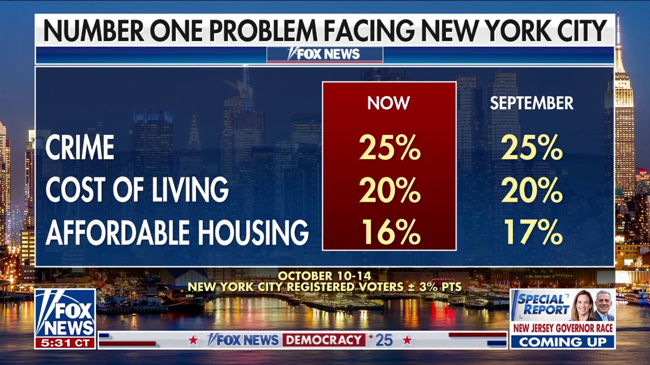 Zohran Mamdani surges in new Fox poll as New York mayoral race tightens