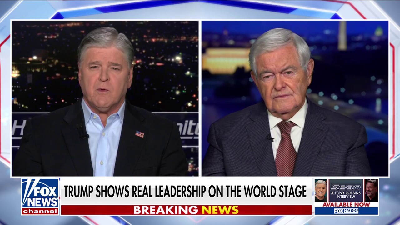 Abroad Trump is regarded as a hero, at home it’s totally different: Newt Gingrich