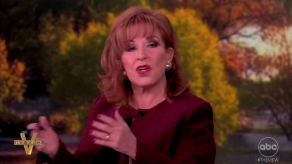 'The View' co-hosts Joy Behar and Alyssa Farah Griffin clash over Democrats' shutdown strategy