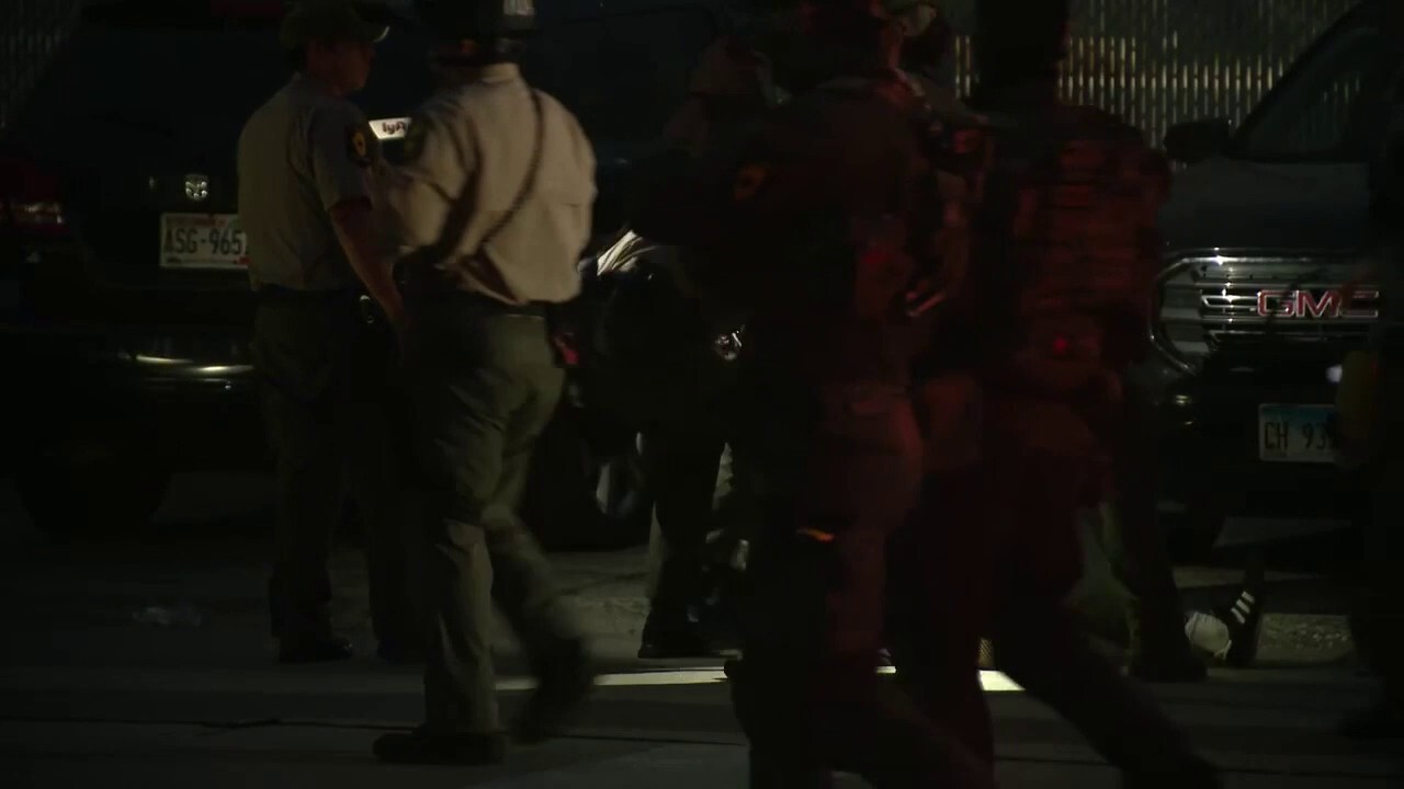 Protesters arrested near Broadview ICE facility in Illinois
