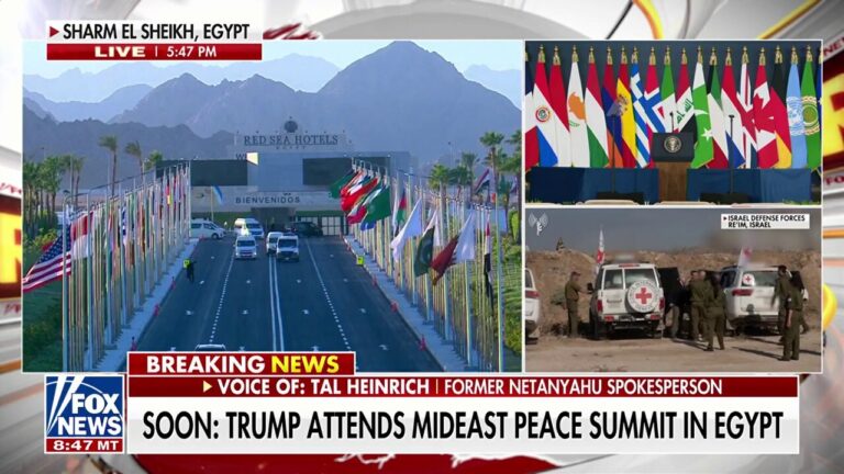 Former Netanyahu official praises Trump’s peace deal: 'Finally a leader who gets it'