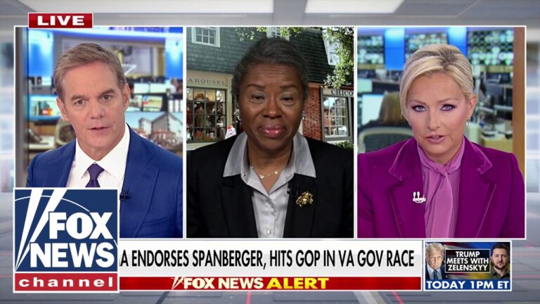 Virginia Lt. Gov. slams Schumer for ‘still getting a paycheck’ as federal workers face layoffs