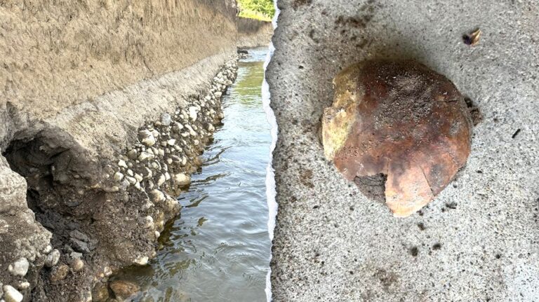 Hobbyist finds 4,270-year-old human skull on Indiana riverbank, stumping authorities
