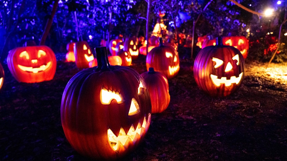 New children’s book seeks to teach kids Halloween’s real meaning — and it's not 'glorifying darkness'