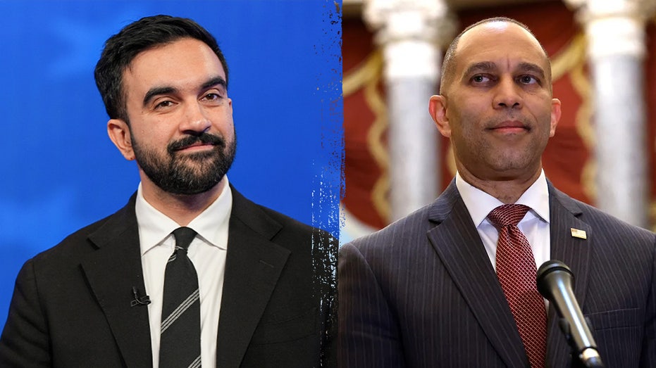 Zohran Mamdani lands long-waited key endorsement in New York City mayoral race