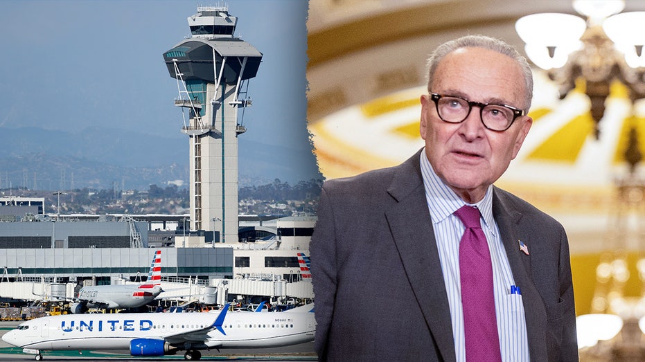 Americans could face airport chaos if Dems don't end shutdown, Trump official warns