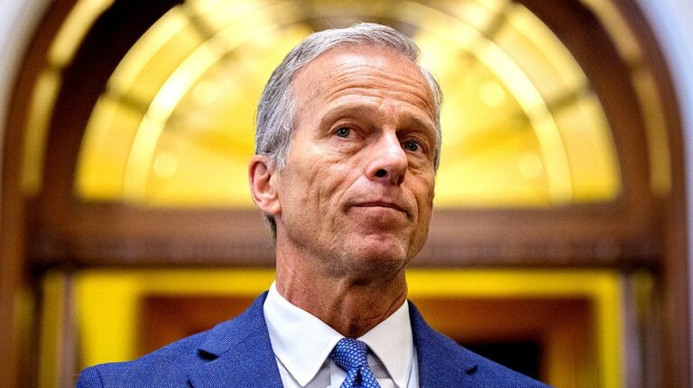Top Senate Republican reveals why Democrats are ‘stuck’ as shutdown reaches day five