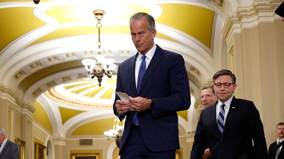 Thune torches Senate Dems for allowing 'far-left' lawmakers to hijack party after blocking crucial bill