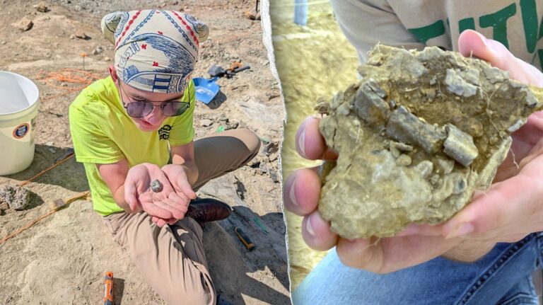 Student unearths 150-million-year-old dinosaur fossil on first day of Montana dig: 'Very exciting'