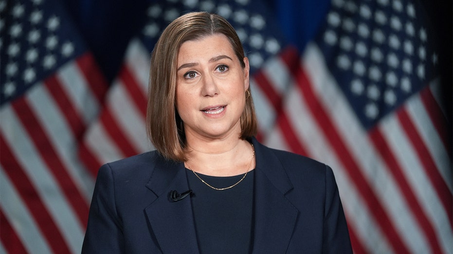 MIKE DAVIS: Deranged Democrats' latest coup attempt seeks military mutiny