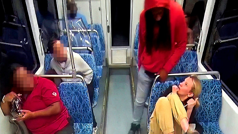 SEE IT: Video shows Charlotte train stabbing suspect before attack and minutes before arrest