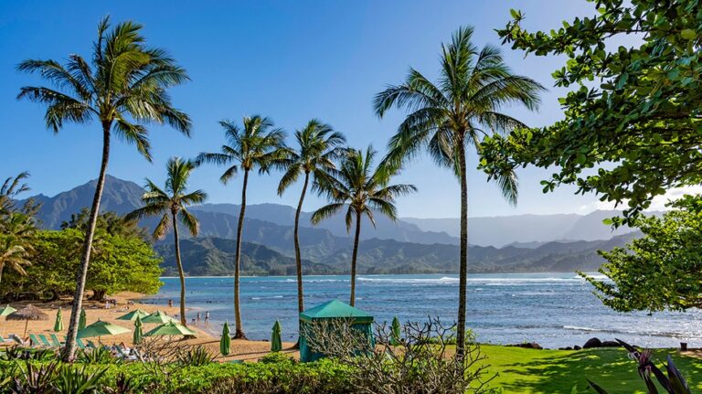 Shark attack leaves beachgoers shaken as popular tourist haven goes on alert