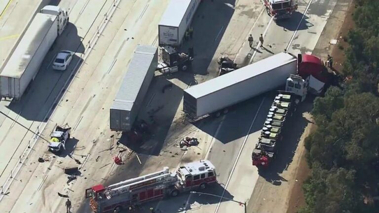 Sanctuary states need crackdown as Americans pay price for illegal immigrant truckers: GOP lawmaker