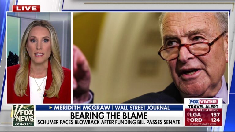 Chuck Schumer is in ‘hot water’ with his party, Meridith McGraw says