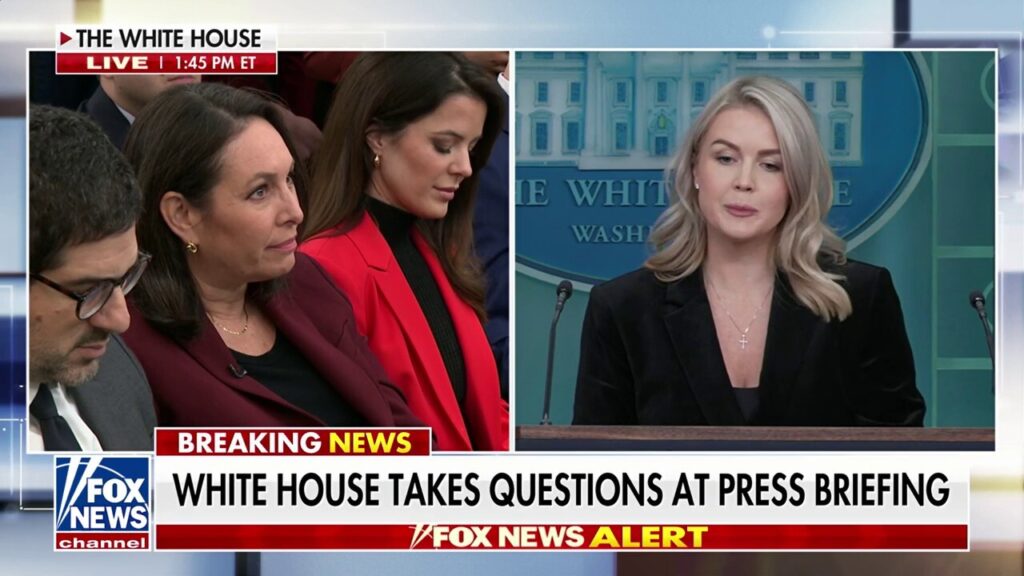 Karoline Leavitt agues Dems' could incite 'chaos' with 'radical' message to defy orders