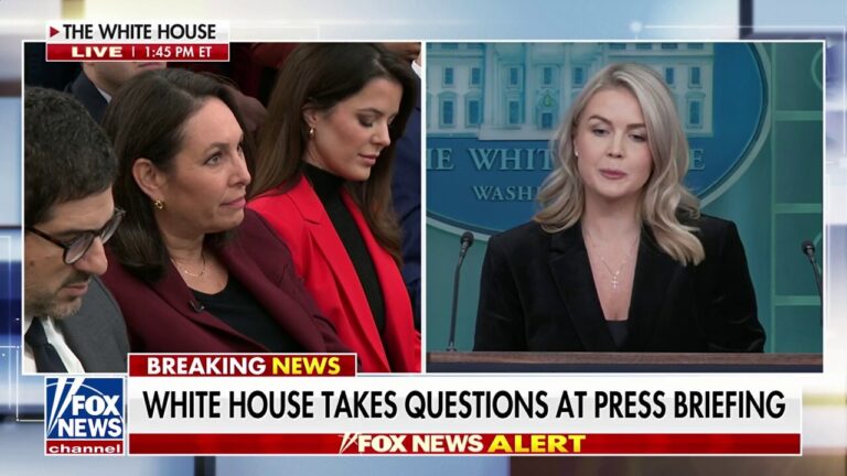 Karoline Leavitt agues Dems' could incite 'chaos' with 'radical' message to defy orders