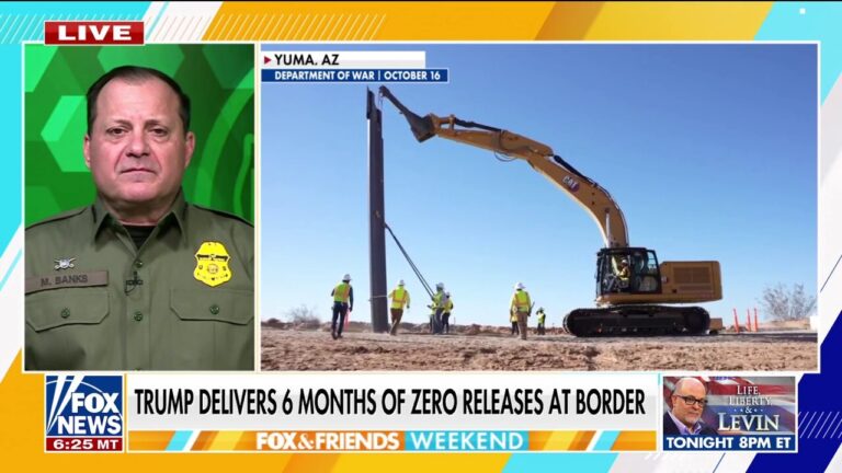 Border Patrol chief praises 'record' data as Trump admin delivers on milestone