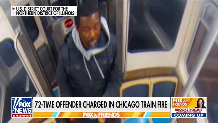 Victim identified in Chicago train fire, suspect has 72 prior offenses