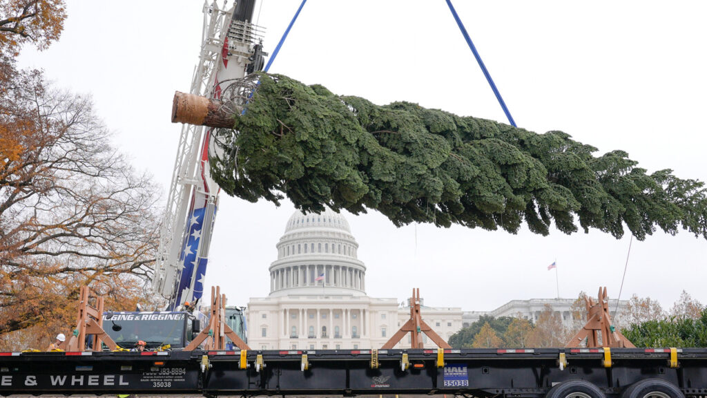 The Journal Editorial Report - Saturday, November 29