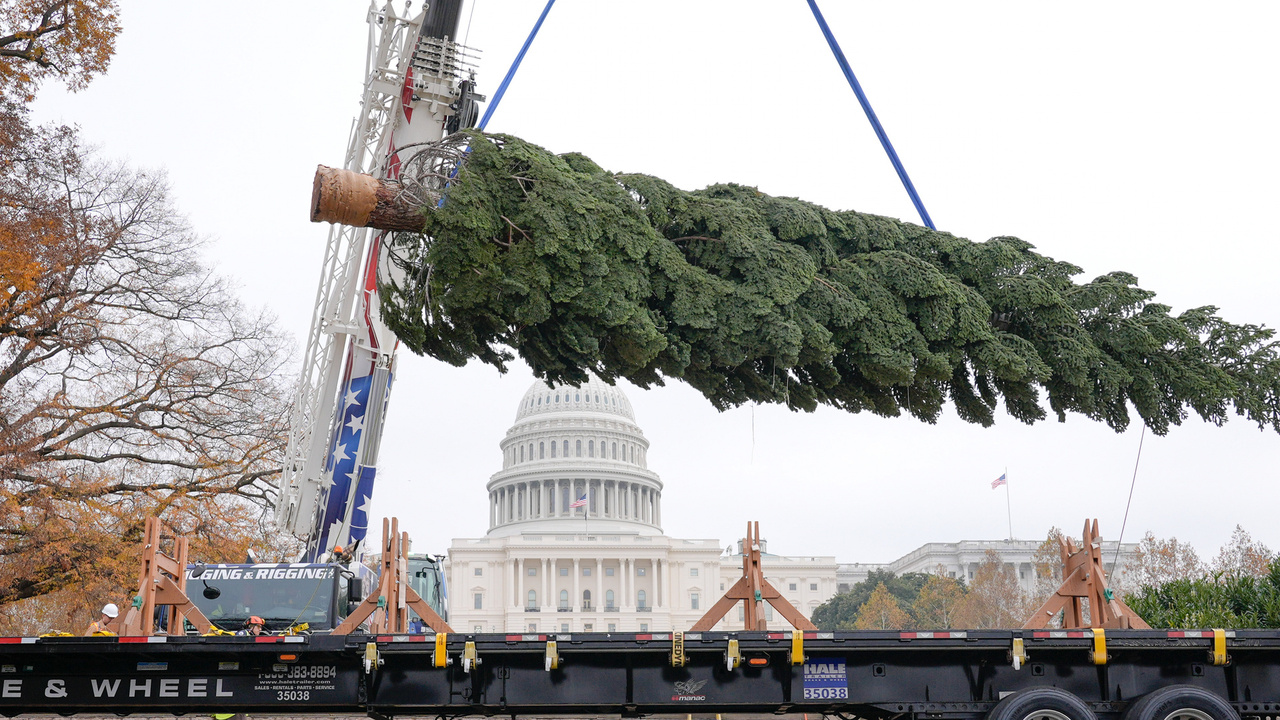 The Journal Editorial Report - Saturday, November 29