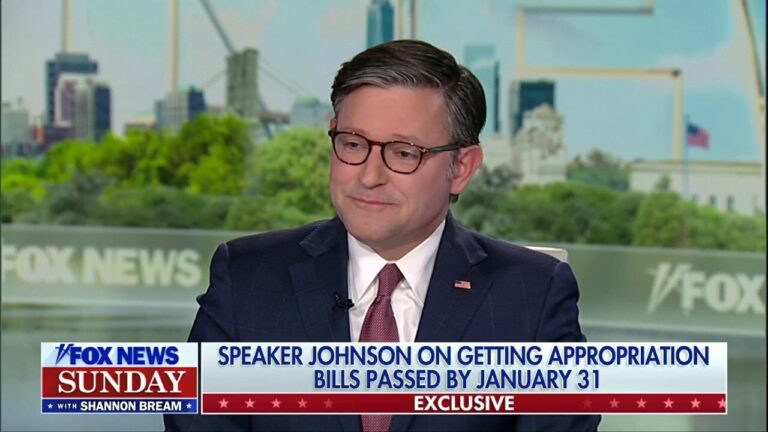 Speaker Johnson 'very optimistic' about passing appropriations bills by deadline