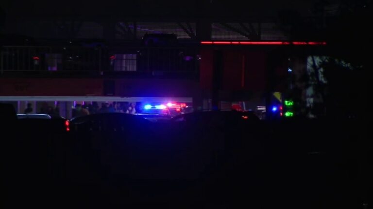Police escort shoppers out of California mall after Black Friday shooting