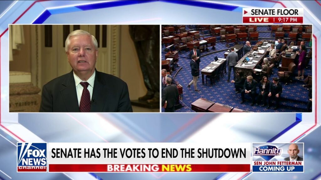 Sen. Lindsey Graham: Senator Schumer is ‘probably toast’