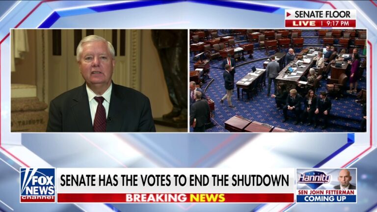 Sen. Lindsey Graham: Senator Schumer is ‘probably toast’