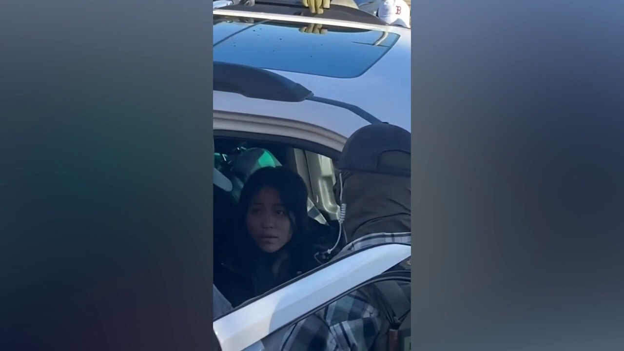 ICE arrests illegal immigrant accused of stabbing co-worker