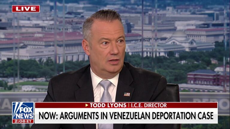 Acting ICE director warns dangerous rhetoric is putting agents and the public at risk
