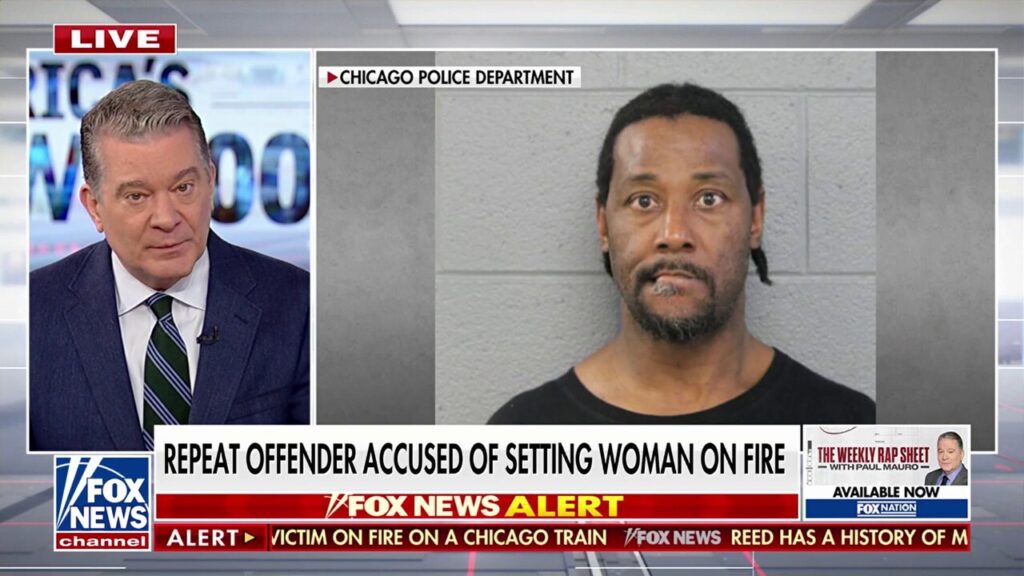 Chicago train attack highlights failure of soft-on-crime policies, says Paul Mauro