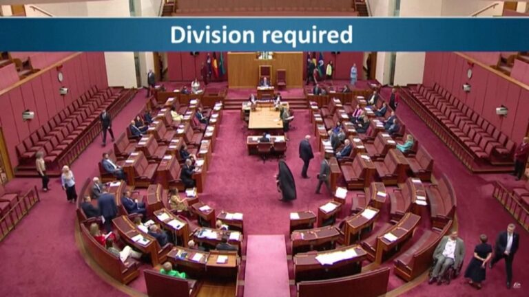 Controversial senator's burqa protest in Australian parliament triggers furious backlash