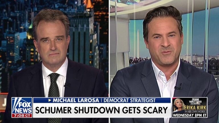 Dem strategist: I’d love to see some Democrat communicators communicate ‘a little less’