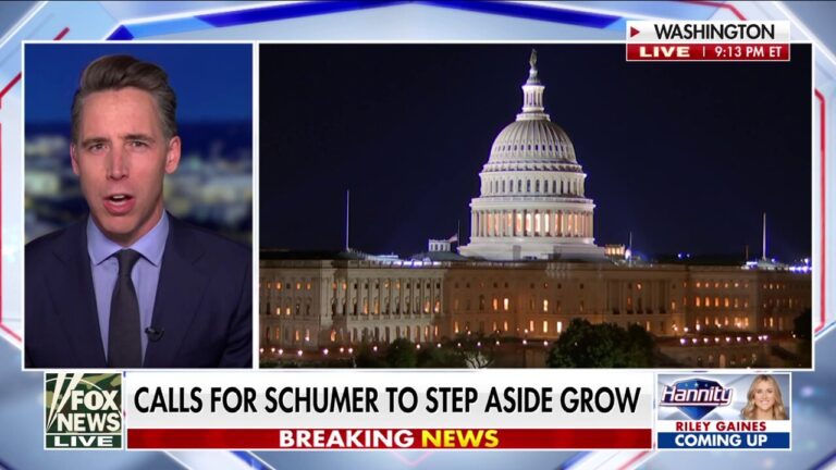 Democratic Party 'totally lost its way,' says Sen Josh Hawley