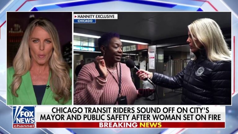 'Not an isolated incident': Nicole Parker interviews Chicago commuters