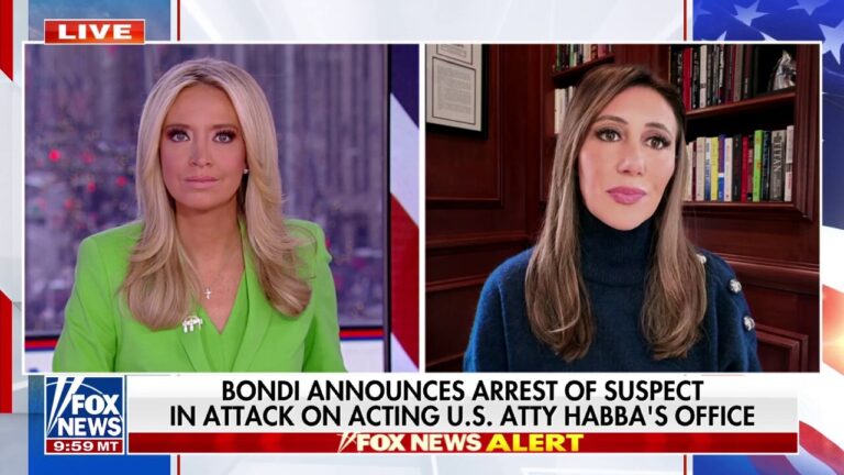 Alina Habba breaks down ‘frightening’ attack on her New Jersey office