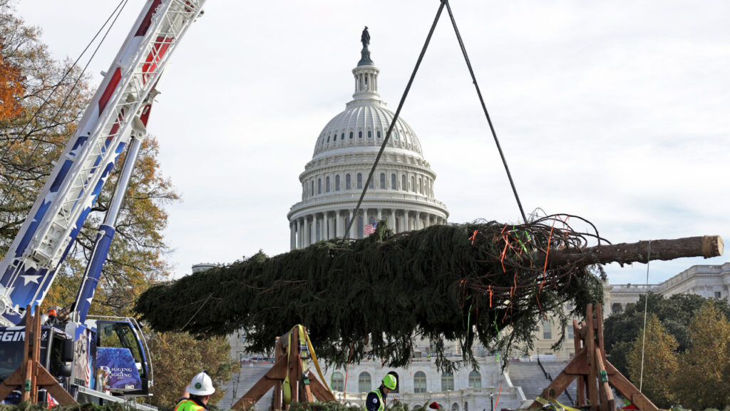 WATCH LIVE: 2025 US Capitol Christmas Tree arrives at Joint Base Andrews